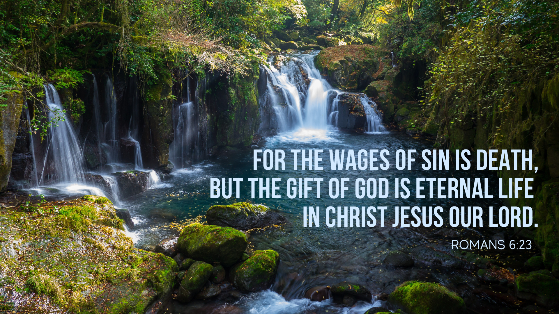 Gift-of-God-GGN